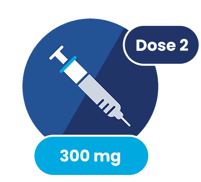 Syringe icon